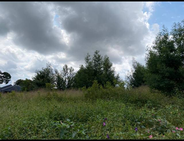 991M² VACANT LAND FOR SALE IN OHENIMURI